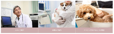 動物病院向けコース